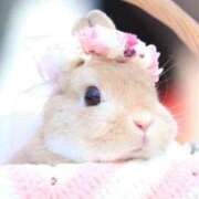 ヒメ日記 2025/12/16 15:15 投稿 ゆずき エクレア