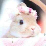 ヒメ日記 2025/12/16 15:29 投稿 ゆずき エクレア