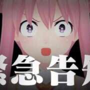 ヒメ日記 2025/12/17 14:47 投稿 ゆずき エクレア