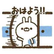 ヒメ日記 2025/12/28 06:01 投稿 ゆずき エクレア