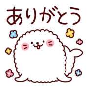 ヒメ日記 2025/12/29 14:21 投稿 ゆずき エクレア