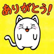 ヒメ日記 2026/01/16 14:33 投稿 ゆずき エクレア