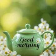 ヒメ日記 2026/03/12 06:11 投稿 ゆずき エクレア