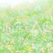 ヒメ日記 2026/03/19 06:00 投稿 ゆずき エクレア