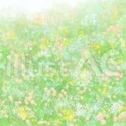 ヒメ日記 2026/03/19 06:11 投稿 ゆずき エクレア