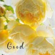 ヒメ日記 2026/03/28 06:00 投稿 ゆずき エクレア