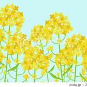 ヒメ日記 2026/04/04 23:51 投稿 ゆずき エクレア