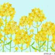 ヒメ日記 2026/04/05 00:01 投稿 ゆずき エクレア