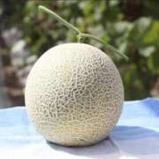 ヒメ日記 2024/12/14 13:50 投稿 なお エクレア