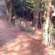 ヒメ日記 2025/04/23 10:46 投稿 なお エクレア