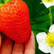 ヒメ日記 2025/11/28 16:02 投稿 なお エクレア