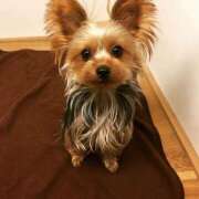 ヒメ日記 2025/11/28 19:02 投稿 なお エクレア