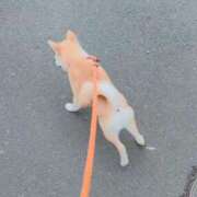 ヒメ日記 2025/12/30 10:30 投稿 なお エクレア