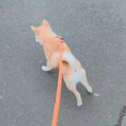 ヒメ日記 2025/12/30 10:41 投稿 なお エクレア