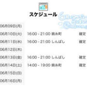 ヒメ日記 2025/06/09 15:01 投稿 こさめ 世界のあんぷり亭 新橋店