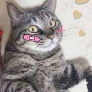 ヒメ日記 2024/12/13 13:42 投稿 小沢 熟女待機所 厚木店