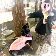 ヒメ日記 2024/12/20 20:08 投稿 小沢 熟女待機所 厚木店