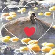 ヒメ日記 2024/12/21 06:37 投稿 小沢 熟女待機所 厚木店