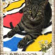 ヒメ日記 2025/01/17 08:55 投稿 小沢 熟女待機所 厚木店