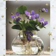 ヒメ日記 2025/01/22 13:36 投稿 小沢 熟女待機所 厚木店