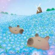 ヒメ日記 2025/01/25 04:58 投稿 小沢 熟女待機所 厚木店