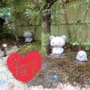 ヒメ日記 2025/01/26 09:30 投稿 小沢 熟女待機所 厚木店