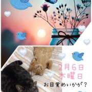 ヒメ日記 2025/02/06 06:49 投稿 小沢 熟女待機所 厚木店