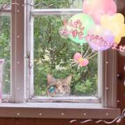 ヒメ日記 2025/02/18 10:58 投稿 小沢 熟女待機所 厚木店