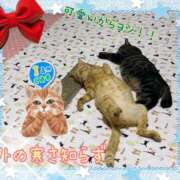 ヒメ日記 2025/02/19 07:30 投稿 小沢 熟女待機所 厚木店