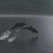 ヒメ日記 2025/02/23 19:38 投稿 小沢 熟女待機所 厚木店