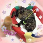 ヒメ日記 2025/02/24 11:20 投稿 小沢 熟女待機所 厚木店