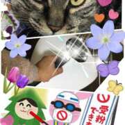 ヒメ日記 2025/02/25 12:40 投稿 小沢 熟女待機所 厚木店