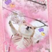 ヒメ日記 2025/02/26 14:40 投稿 小沢 熟女待機所 厚木店