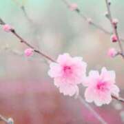 ヒメ日記 2025/03/01 06:09 投稿 小沢 熟女待機所 厚木店