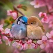 ヒメ日記 2025/03/04 10:09 投稿 小沢 熟女待機所 厚木店