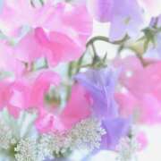 ヒメ日記 2025/03/05 06:48 投稿 小沢 熟女待機所 厚木店