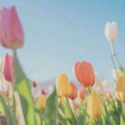 ヒメ日記 2025/03/06 09:57 投稿 小沢 熟女待機所 厚木店