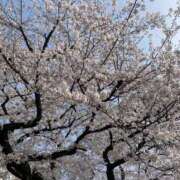 ヒメ日記 2025/03/30 10:21 投稿 小沢 熟女待機所 厚木店