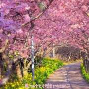 ヒメ日記 2025/04/04 16:01 投稿 小沢 熟女待機所 厚木店