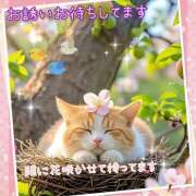 ヒメ日記 2025/04/17 23:35 投稿 小沢 熟女待機所 厚木店