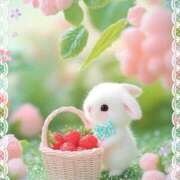 ヒメ日記 2025/04/19 10:54 投稿 小沢 熟女待機所 厚木店