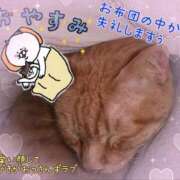 ヒメ日記 2025/04/24 00:44 投稿 小沢 熟女待機所 厚木店