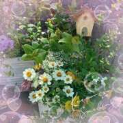 ヒメ日記 2025/05/12 07:15 投稿 小沢 熟女待機所 厚木店