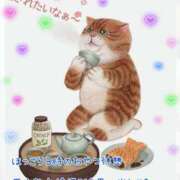 ヒメ日記 2025/05/19 14:42 投稿 小沢 熟女待機所 厚木店