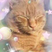 ヒメ日記 2025/05/20 11:20 投稿 小沢 熟女待機所 厚木店