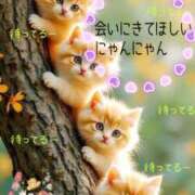 ヒメ日記 2025/05/21 16:00 投稿 小沢 熟女待機所 厚木店