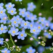 ヒメ日記 2025/05/22 06:25 投稿 小沢 熟女待機所 厚木店