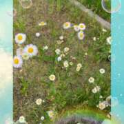 ヒメ日記 2025/05/24 14:10 投稿 小沢 熟女待機所 厚木店