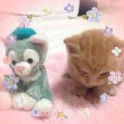 ヒメ日記 2025/05/25 08:20 投稿 小沢 熟女待機所 厚木店