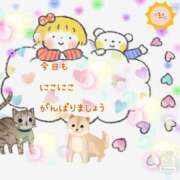 ヒメ日記 2025/05/29 09:33 投稿 小沢 熟女待機所 厚木店